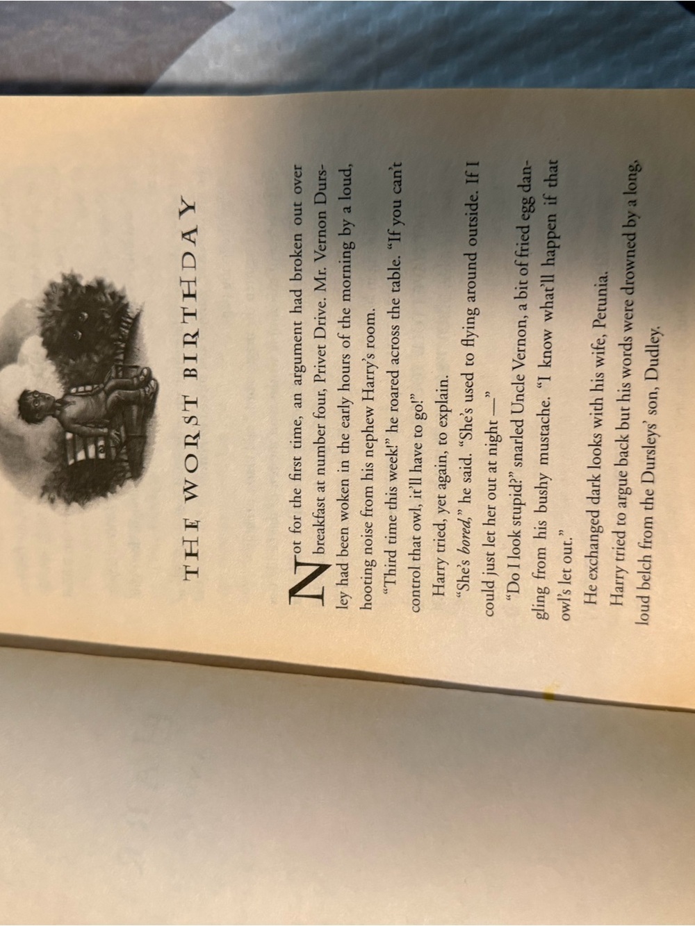 Harry Potter and The Chamber of Secrets book - Picture 6 of 6
